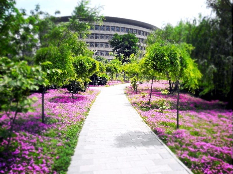 มหาวิทยาลัยในจีน:Shaanxi Normal University