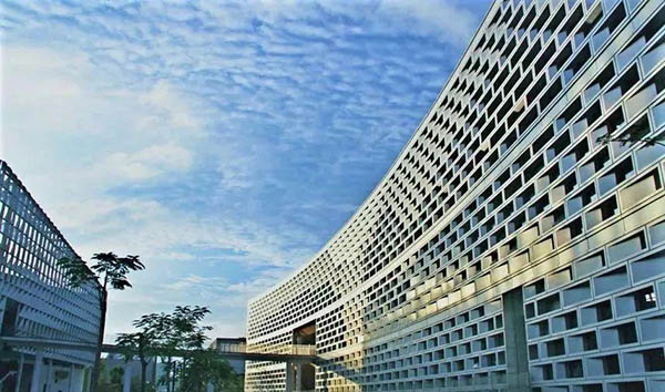 Southern University of Science and Technology ทุน
