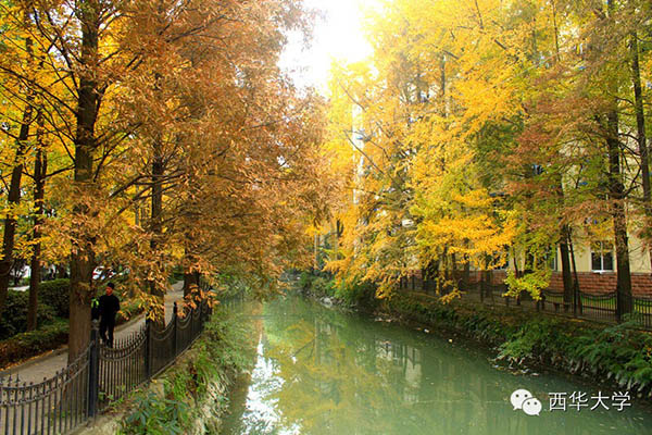 มหาวิทยาลัยในจีน  Xihua University 西华大学