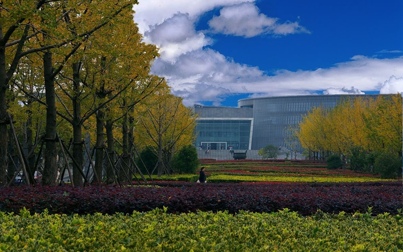  Nanjing University  คณะ