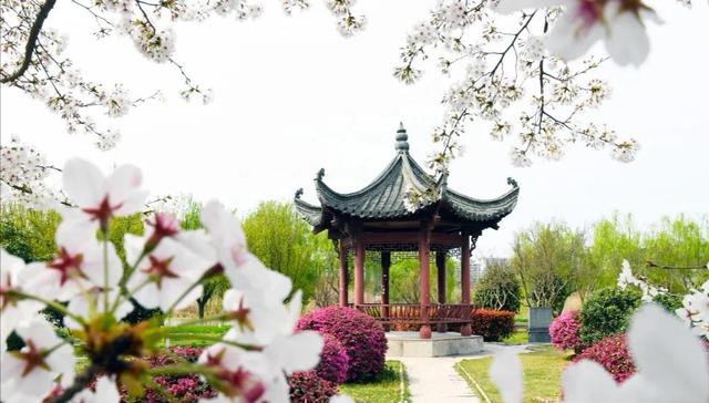 China Pharmaceutical University中国药科大学