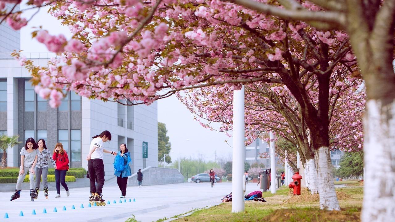 China Pharmaceutical University中国药科大学