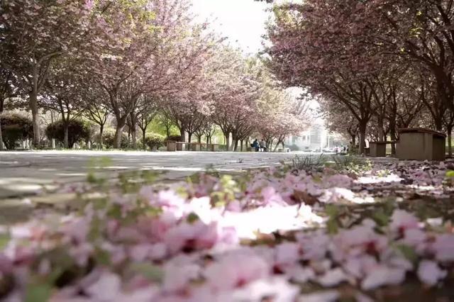 มหาวิทยาลัยในจีน: Xi'an University of Posts and Telecommunications 