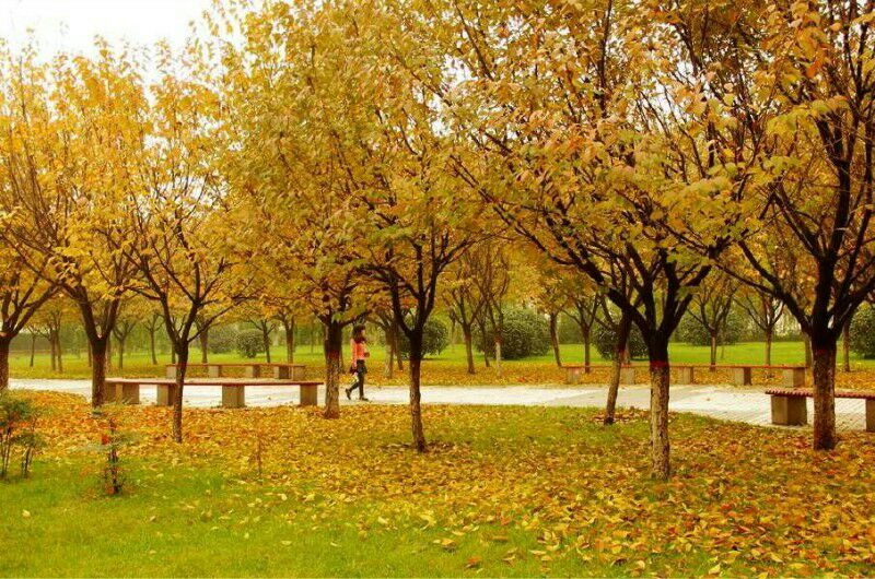 มหาวิทยาลัยในจีน: Xi'an University of Posts and Telecommunications 