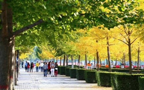 Xidian University