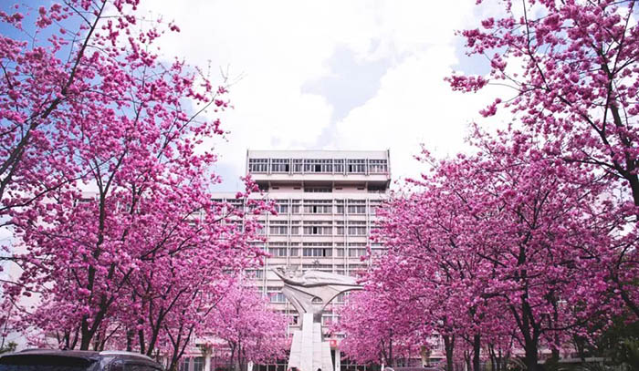 Kunming University of Science and Technology 昆明理工大学