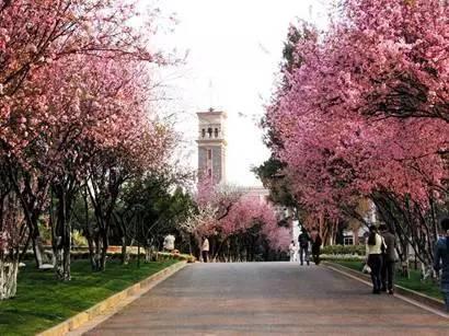 Yunnan University 云南大学