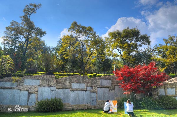 Kunming University 昆明学院