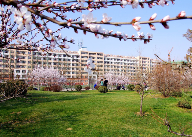 North University of China 中北大学