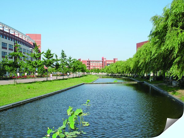 Shandong University of Science and Technology 山东科技大学