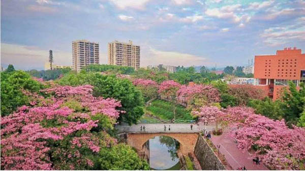 South China Normal University  华南师范大学