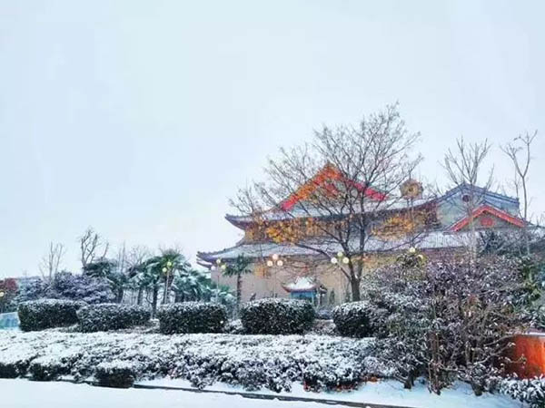 Henan University河南大学