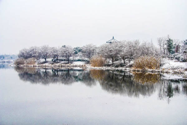 Jiangnan University 江南大学