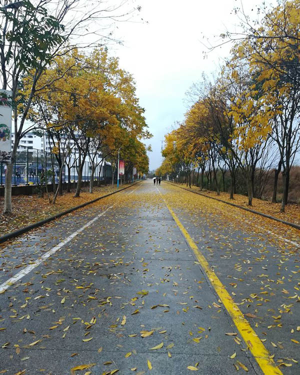 Huangshan University