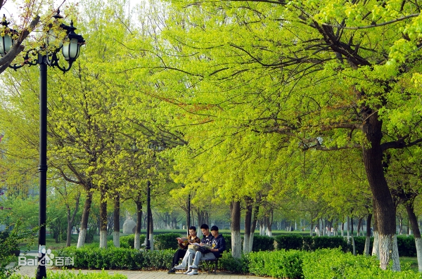 Qilu University of Technology  