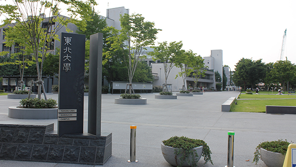Dongbei University 东北大学