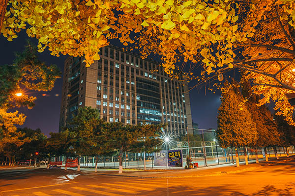 Dongbei University 东北大学
