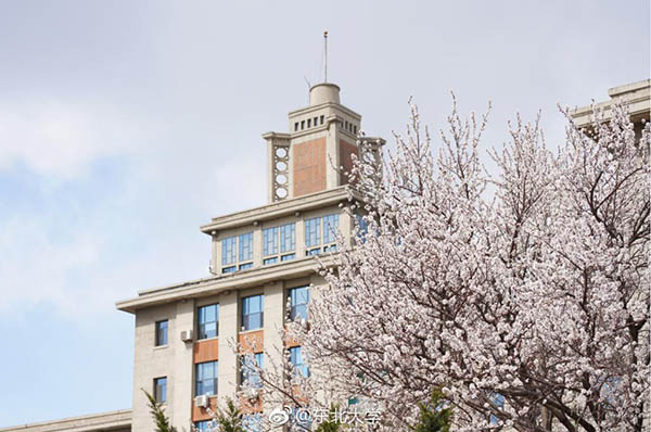 Dongbei University 东北大学