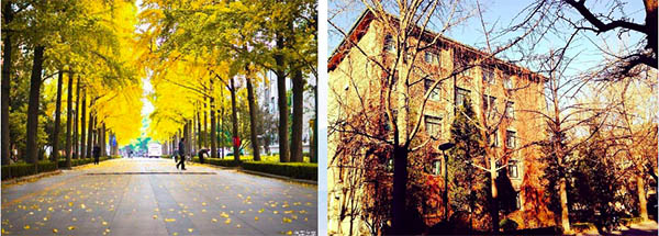 ทุนเมืองปักกิ่ง 6：มหาวิทยาลัยที่มีชื่อเสียงของปักกิ่ง  มหาวิทยาลัยในโครงการ 985、211