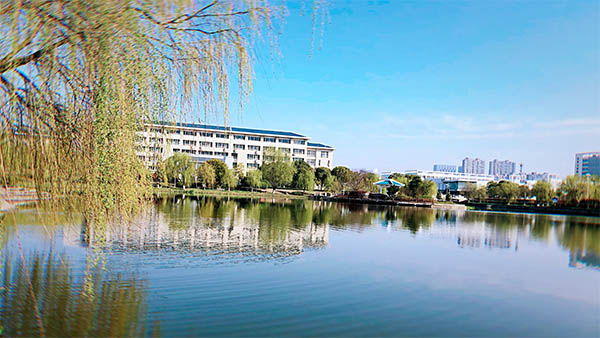 ทุนมหาวิทยาลัยในเฉิงตู