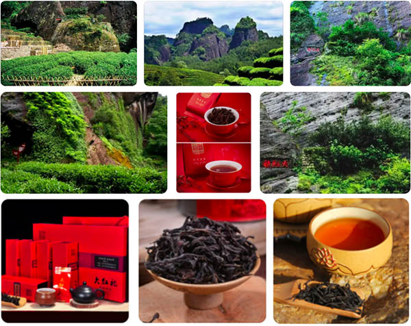 Da Hong Pao 