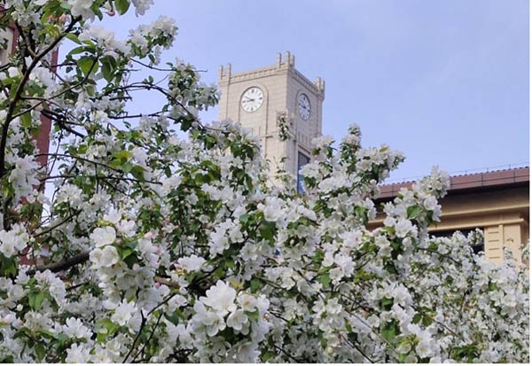 Taiyuan University of Technology รีวิว