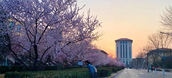 Taiyuan University of Technology รีวิว