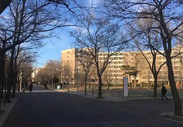 Tsinghua University ดีไหม？