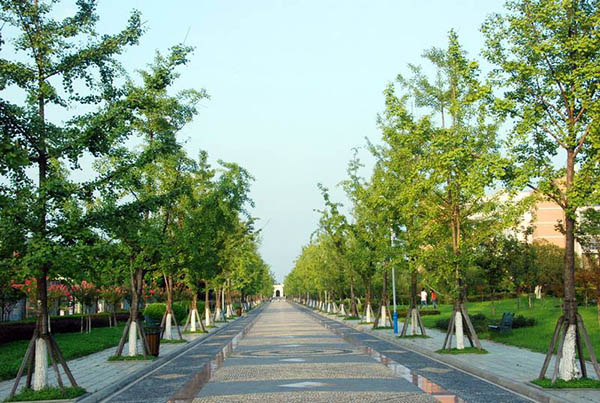 มหาวิทยาลัยเทคโนโลยีสารสนเทศเฉิงตู Chengdu University of Information Technology