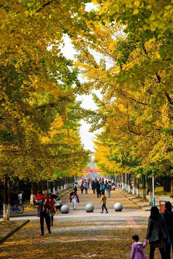 มหาวิทยาลัยเทคโนโลยีสารสนเทศเฉิงตู Chengdu University of Information Technology
