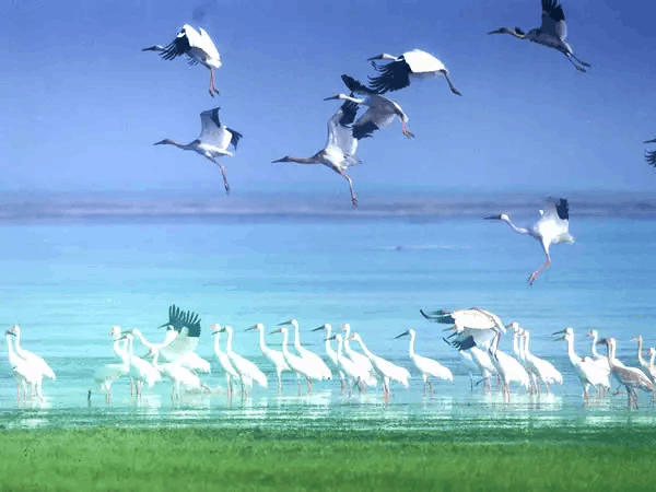 Poyang Lake 