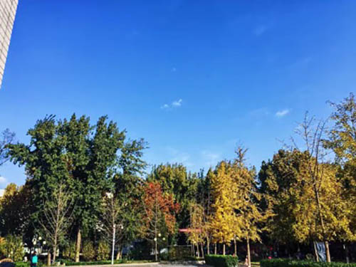 Beijing Language and Culture Universityดีไหม