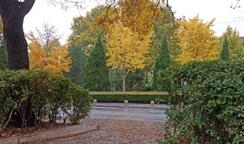 Beijing Language and Culture Universityดีไหม