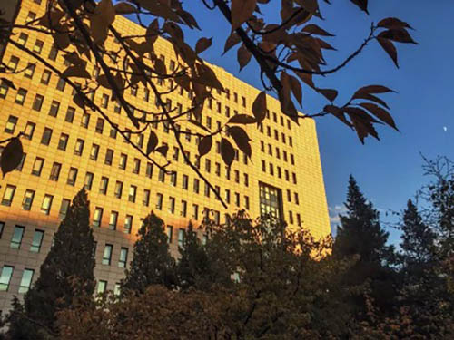 Beijing Language and Culture Universityดีไหม