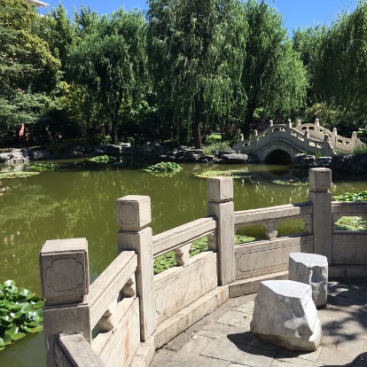 Beijing Language and Culture Universityดีไหม