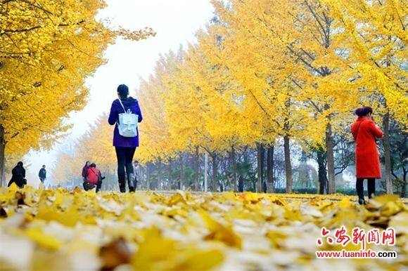 มหาวิทยาลัยหว่านซี West Anhui University 
