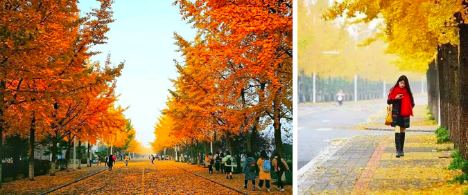 มหาวิทยาลัยหว่านซี West Anhui University 