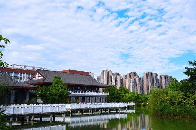 Chengdu Technological University,มหาวิทยาลัยเทคโนโลยีเฉิงตู