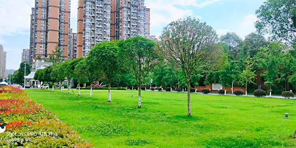 Chengdu Technological University มหาวิทยาลัยเทคโนโลยีเฉิงตู