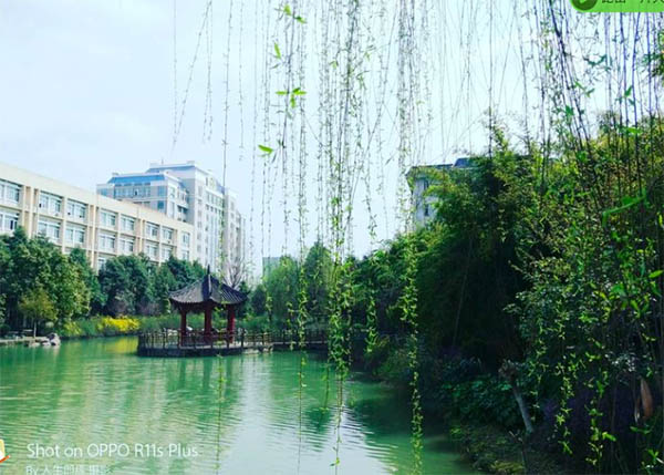 Chengdu Technological University มหาวิทยาลัยเทคโนโลยีเฉิงตู