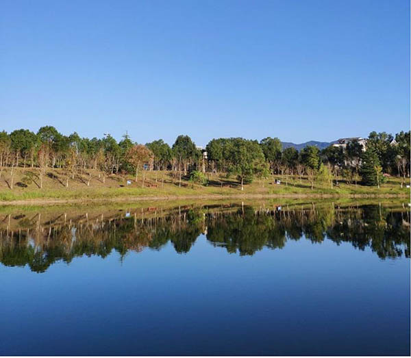 Wuyi university รีวิว