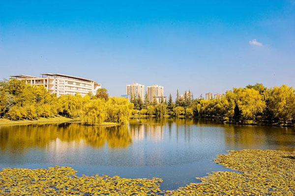 Qujing Normal University ทุน