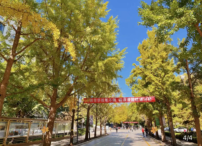 มหาวิทยาลัยป่าไม้ปักกิ่งBeijing Forestry University