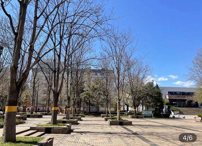 มหาวิทยาลัยป่าไม้ปักกิ่งBeijing Forestry University