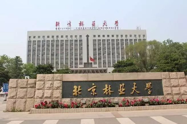 
                                        เรียนต่อจีน-มหาวิทยาลัยป่าไม้ปักกิ่งBeijing Forestry University ดีไหม? มหาวิทยาลัยป่าไม้ปักกิ่งBeijing Forestry University รีวิว