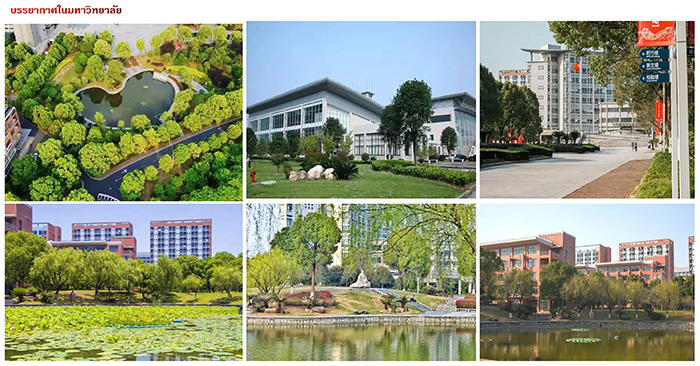 ซัมเมอร์แคมป์หางโจว Hangzhou
