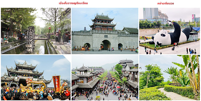 ซัมเมอร์แคมป์ที่เฉิงตู Chengdu