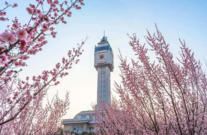 Nanjing Tech University ทุน 