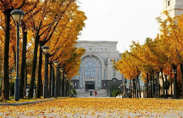 Fudan University   เรียนภาษาจีน 1ปี /1เทอม